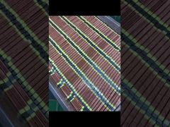 Lampada di polimerizzazione UV ad alta intensità OEM, durata 20000 ore, per stampante a getto d'inchiostro​